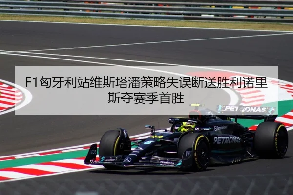 F1匈牙利站维斯塔潘策略失误断送胜利诺里斯夺赛季首胜