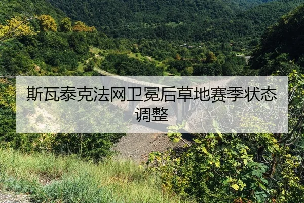 si-wa-tai-ke-fa-wang-wei-mian-hou-cao-di-sai-ji-zhuang-tai-tiao-zheng-2-791.jpg